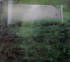 spanishspringslink